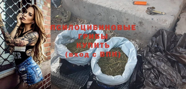 винт Лиски