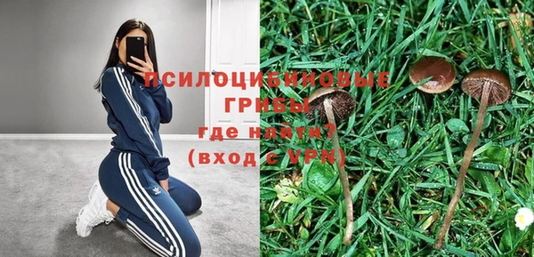 стаф Магас