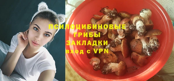 соль курить ск Липки