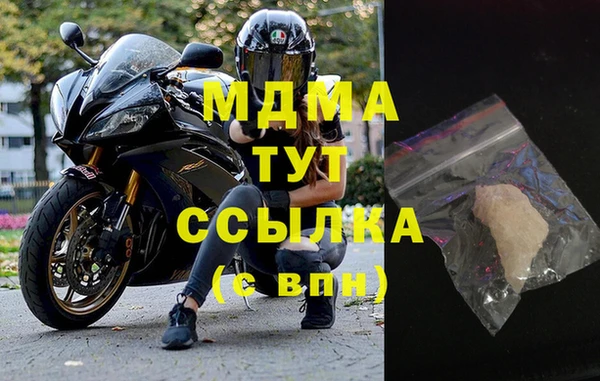 стаф Магас
