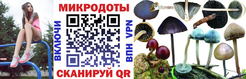 Псилоцибиновые грибы Magic Shrooms  Дыгулыбгей 